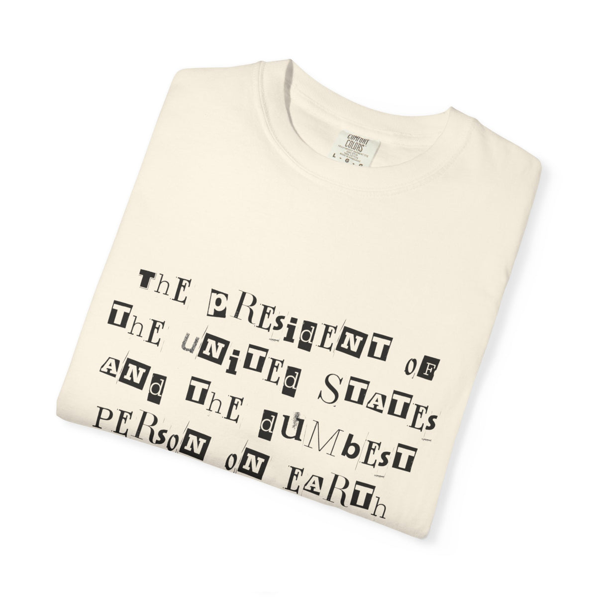 Garment-Dyed Graphic T-Shirt — “The President and the Dumbest Person on Earth Should Be Different”