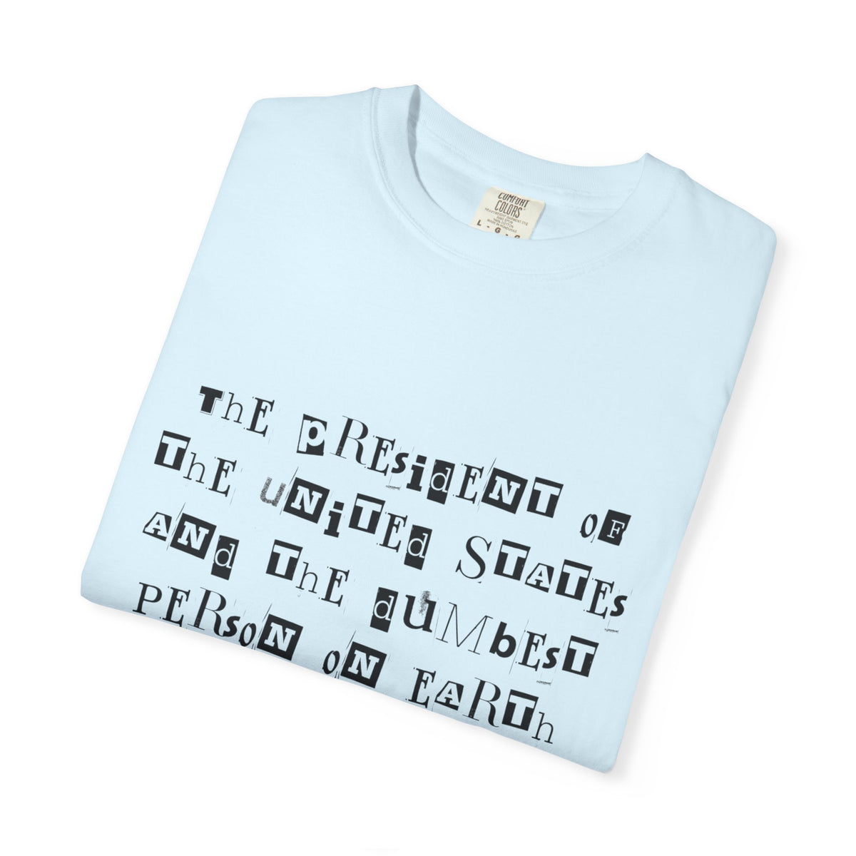 Garment-Dyed Graphic T-Shirt — “The President and the Dumbest Person on Earth Should Be Different”
