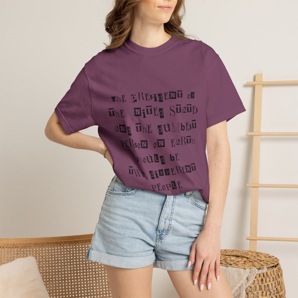 Garment-Dyed Graphic T-Shirt — “The President and the Dumbest Person on Earth Should Be Different”
