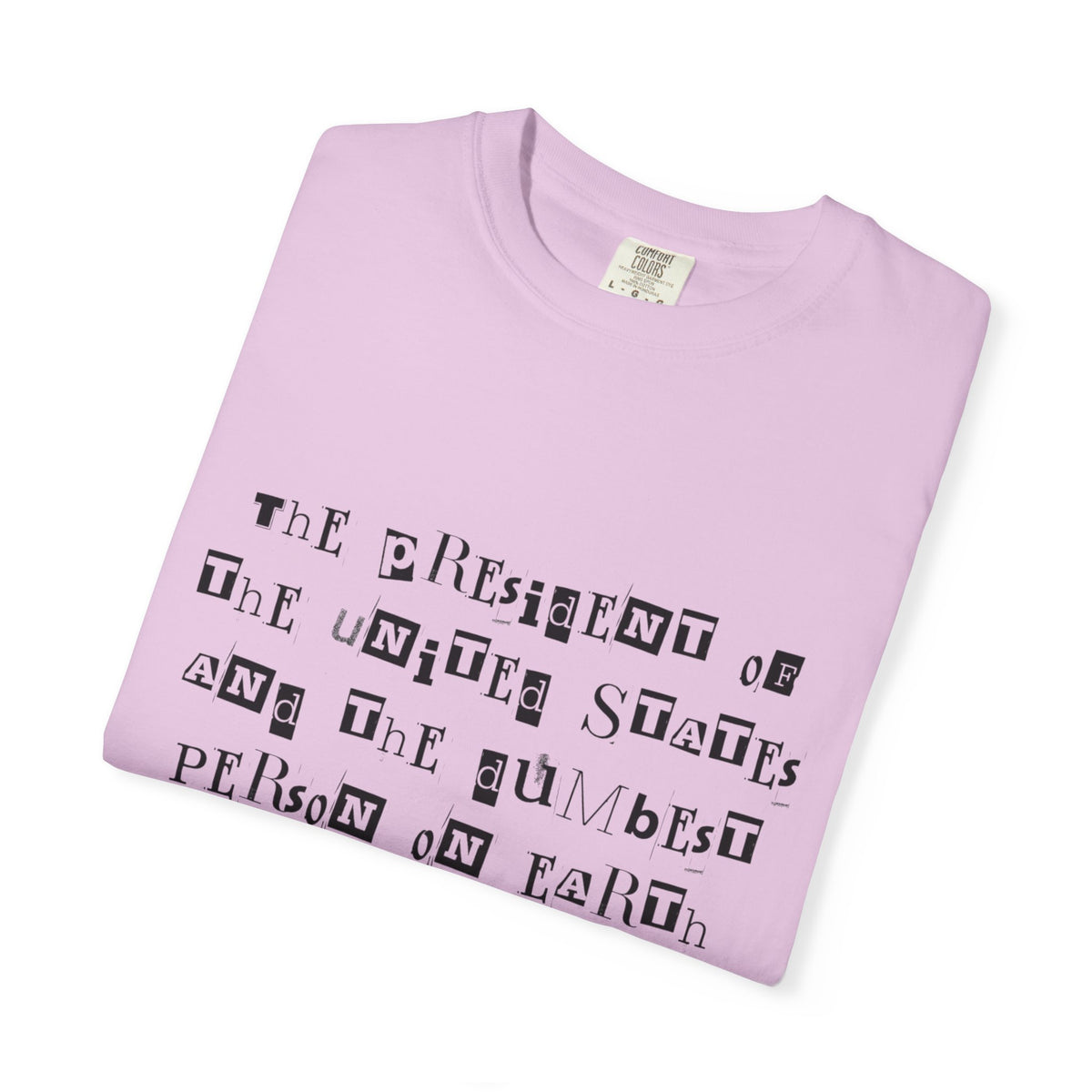Garment-Dyed Graphic T-Shirt — “The President and the Dumbest Person on Earth Should Be Different”